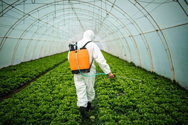 Best Mosquito Control Services  in Wills Point, TX